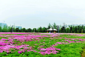 湖南长沙洋湖湿地公园