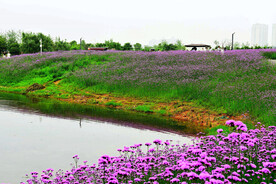 湖南长沙洋湖湿地公园