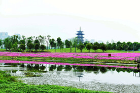 湖南长沙洋湖湿地公园