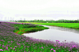 湖南长沙洋湖湿地公园