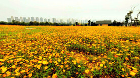 湖南长沙洋湖湿地公园