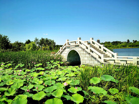 吉林长春北湖湿地公园