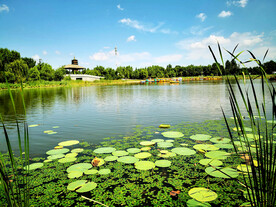 吉林长春北湖湿地公园