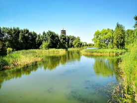 吉林长春北湖湿地公园
