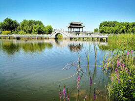 吉林长春北湖湿地公园