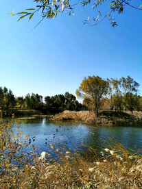 吉林长春北湖湿地公园