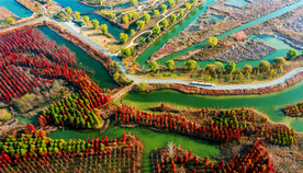 江苏洪泽湖湿地