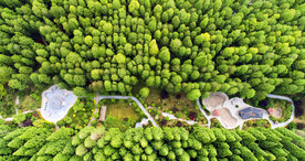 江苏洪泽湖湿地