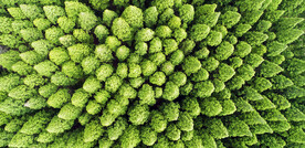 江苏洪泽湖湿地