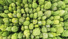 江苏洪泽湖湿地