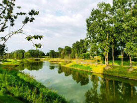 山西长治漳泽湖湿地公园