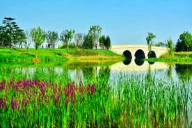 山西长治漳泽湖湿地公园