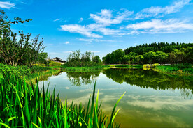 山西长治漳泽湖湿地公园