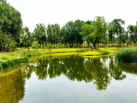 山西长治漳泽湖湿地公园