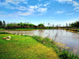 上海东滩湿地公园