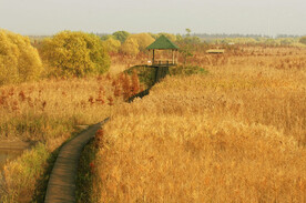 上海西沙湿地公园