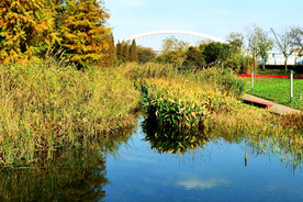 上海东滩湿地公园