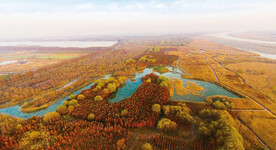 上海西沙湿地公园