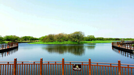 黑龙江黑瞎子岛湿地