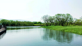 黑龙江黑瞎子岛湿地