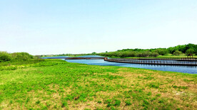 黑龙江黑瞎子岛湿地