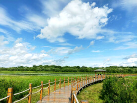 黑龙江黑瞎子岛湿地