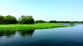 黑龙江黑瞎子岛湿地