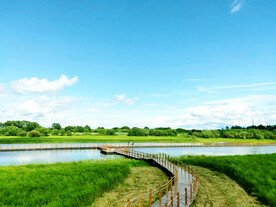 黑龙江黑瞎子岛湿地