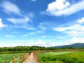 黑龙江黑瞎子岛湿地