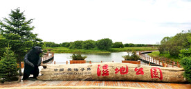 黑龙江黑瞎子岛湿地