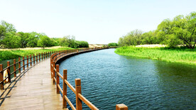 黑龙江黑瞎子岛湿地