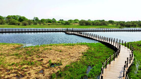 黑龙江黑瞎子岛湿地