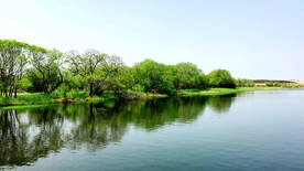 黑龙江黑瞎子岛湿地