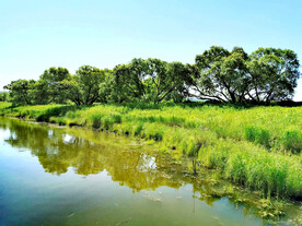 黑龙江黑瞎子岛湿地