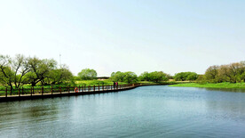 黑龙江黑瞎子岛湿地