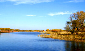 黑龙江黑瞎子岛湿地