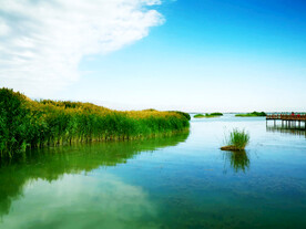 宁夏沙湖湿地