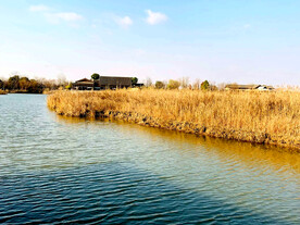 浙江宁波杭州湾国家湿地