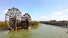 浙江宁波杭州湾国家湿地