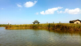 浙江宁波杭州湾国家湿地