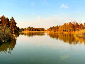 浙江宁波杭州湾国家湿地