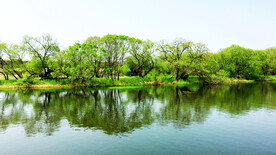 黑龙江黑瞎子岛湿地