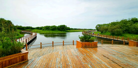 黑龙江黑瞎子岛湿地