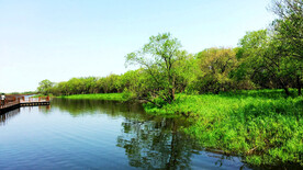 黑龙江黑瞎子岛湿地