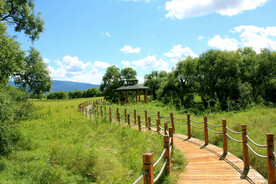 黑龙江黑瞎子岛湿地