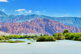 青海贵德黄河清湿地
