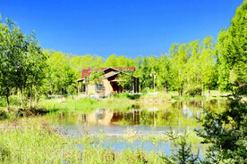 青海贵德黄河清湿地