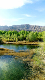 青海贵德黄河清湿地