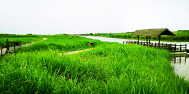 浙江宁波杭州湾国家湿地