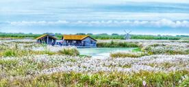 浙江宁波杭州湾国家湿地